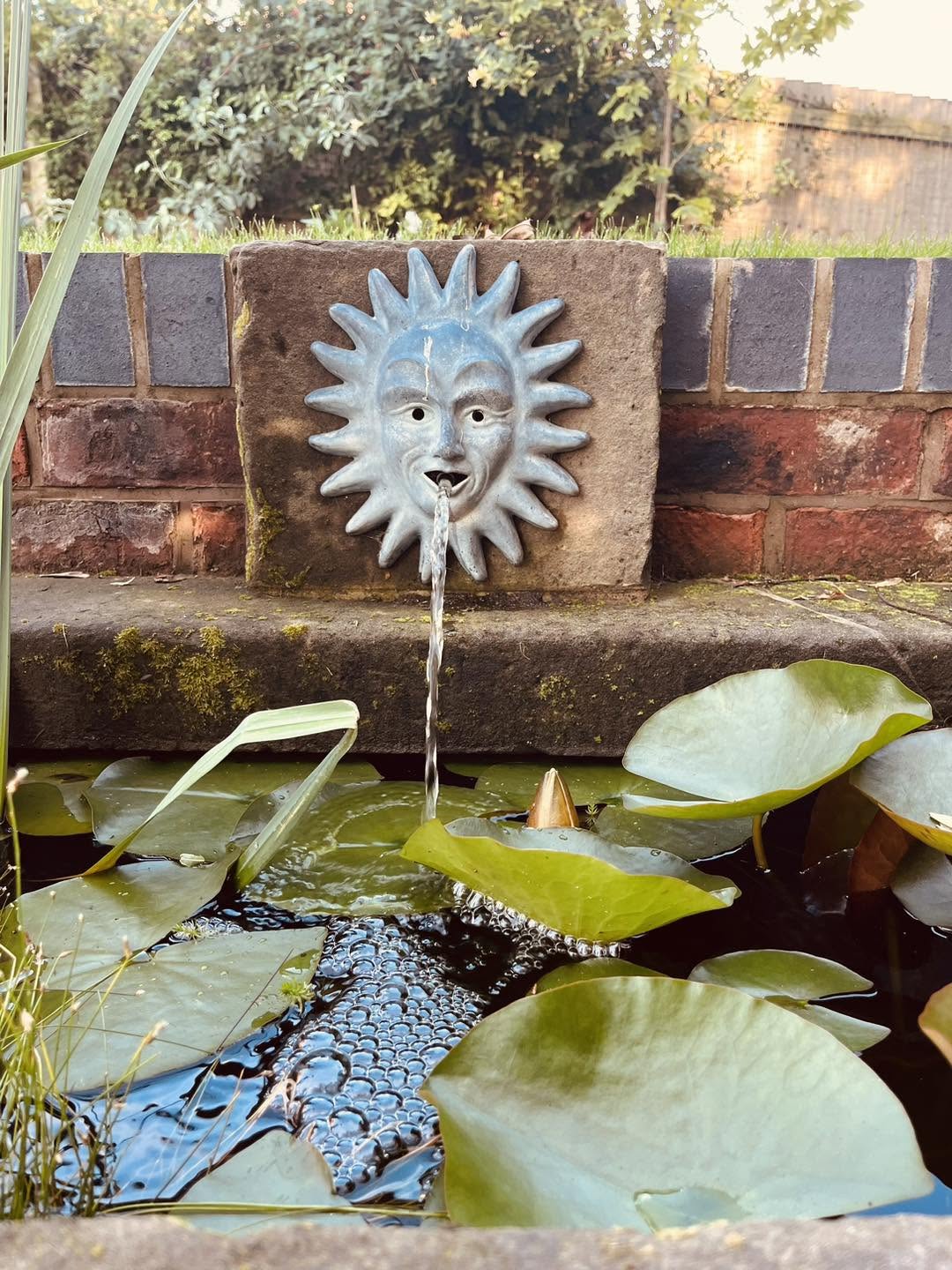 Water Feature 1